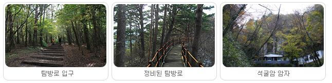 석굴암탐방로 – 도심 속 힐링 등산로