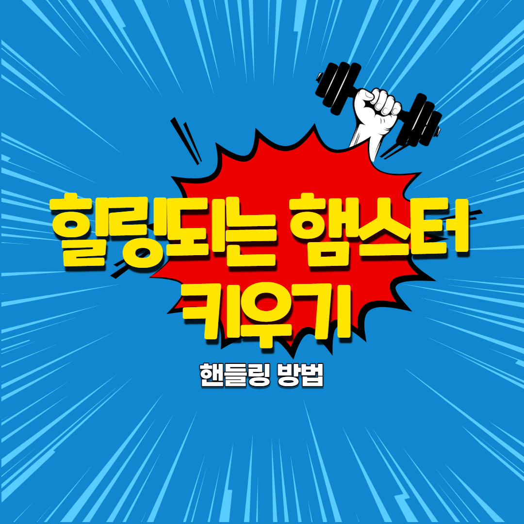  햄스터 키우는게 이렇게 힐링이 될줄이야. (핸들링 방법)
