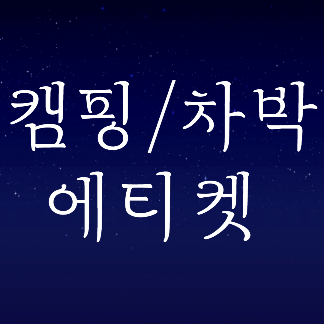  캠핑 갔다가 벌금이 부과될 수 있다고? 캠핑/차박 에티켓 지키기