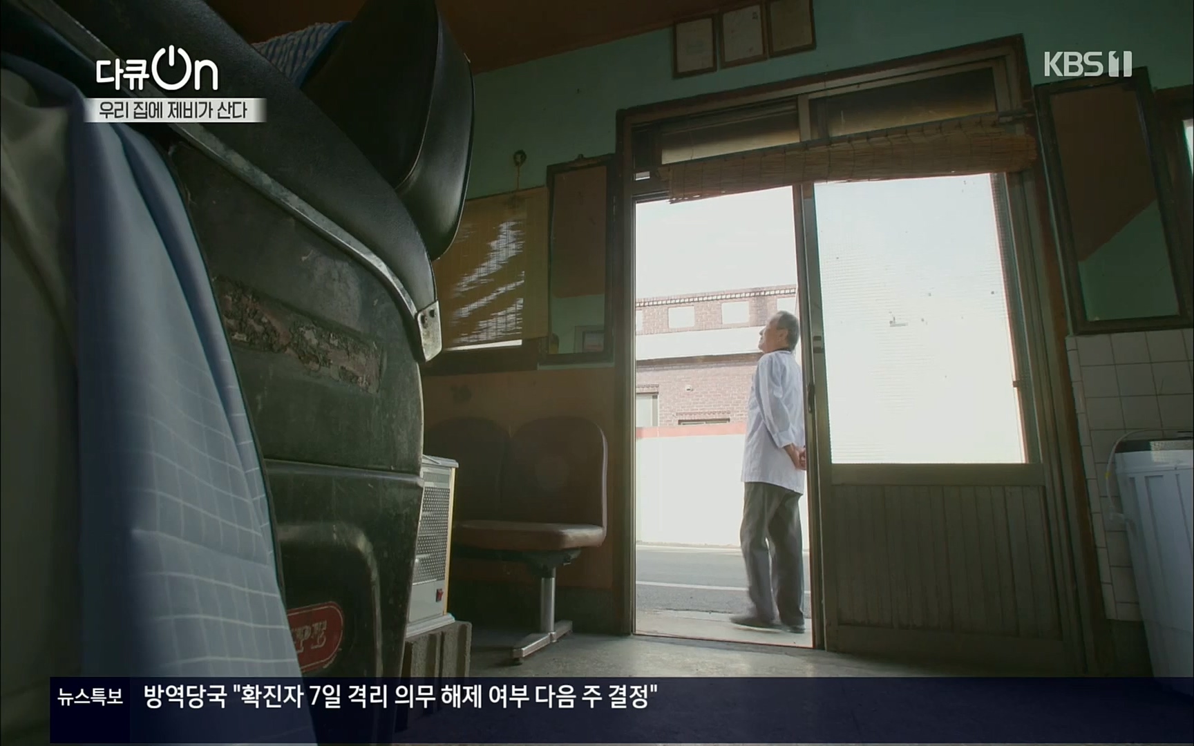 다큐 On.E143.220610p.H264-F1RST.mp4_20220613_202637.698.jpg