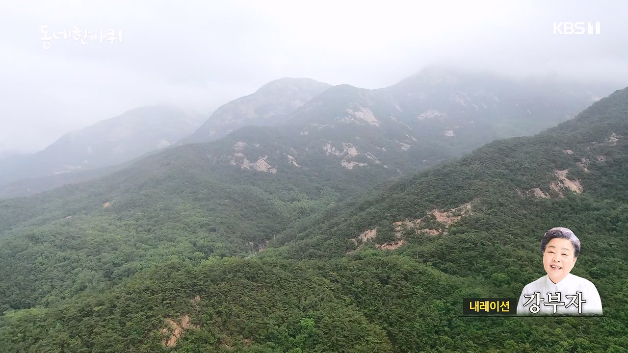 동네 한 바퀴.E238.230903p-NEXT.mp4_20230903_193959.089.jpg