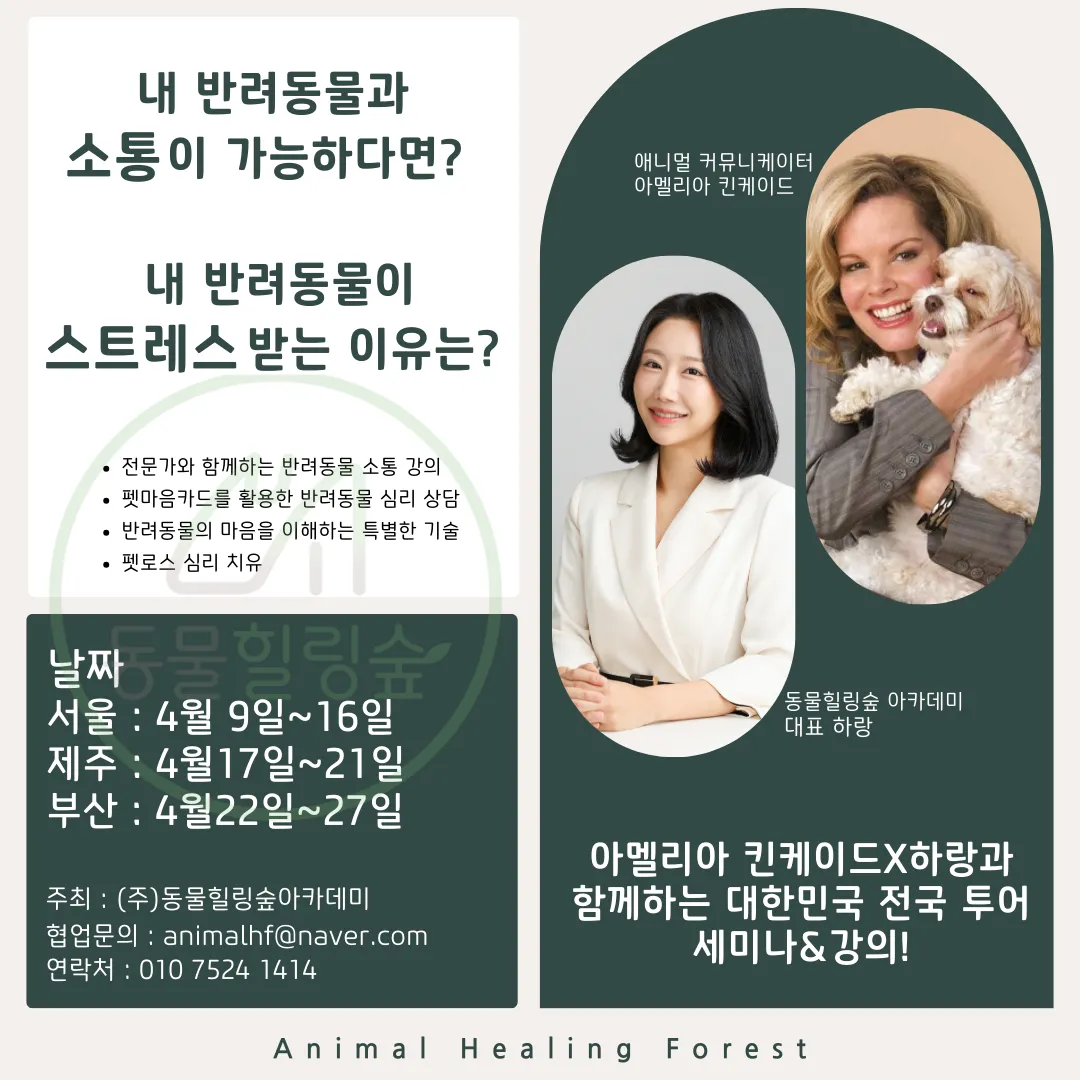 힐링숲 이미지