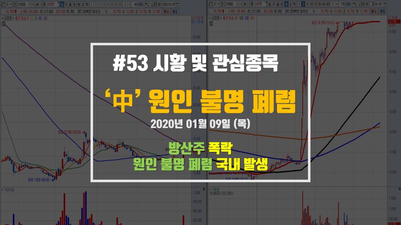  체시스/제일바이오 - 국내 첫 중국 폐렴 의심 환자 발생! 그리고 빅텍/퍼스텍 방산주 폭락