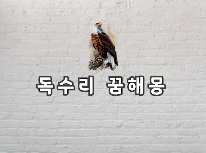  독수리 꿈해몽 독수리 꿈을 꿨다는건 무슨 의미일까요?