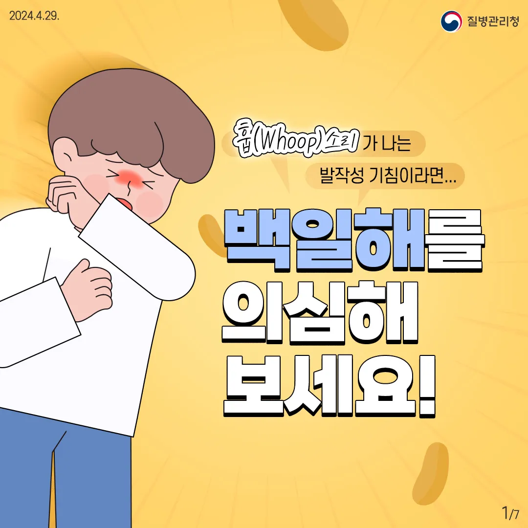 백일해 예방