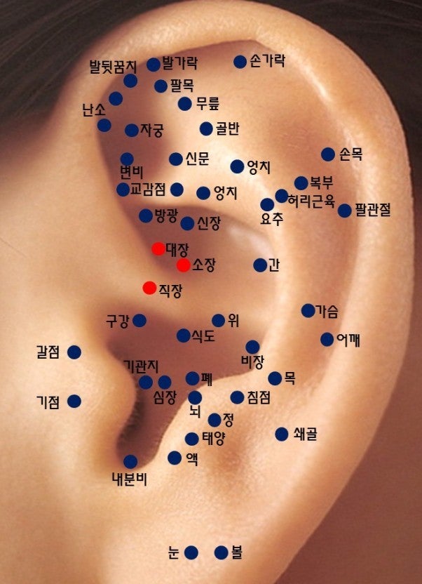 귀침 혈자리 사진