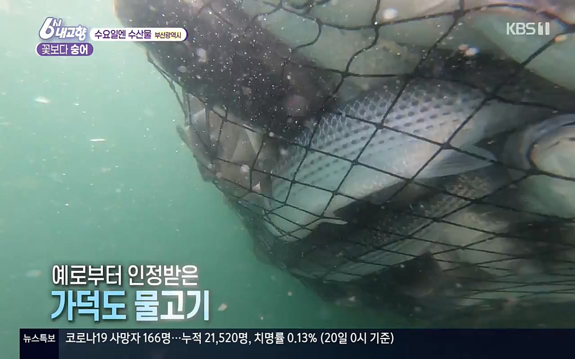 6시 내고향.E7523.220421p-NEXT.mp4_20220507_181118.436.jpg