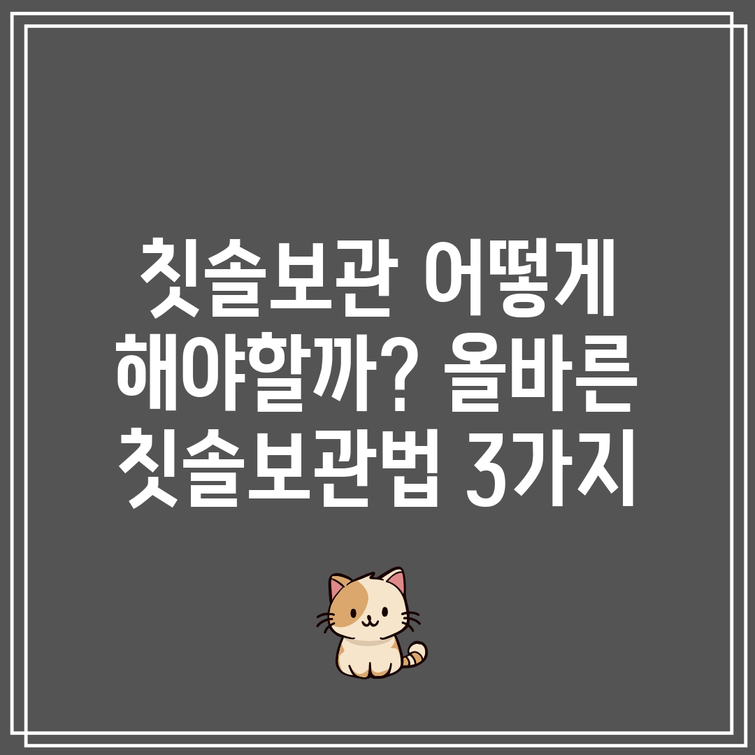 칫솔보관 어떻게 해야할까 올바른 칫솔보관법 3가지