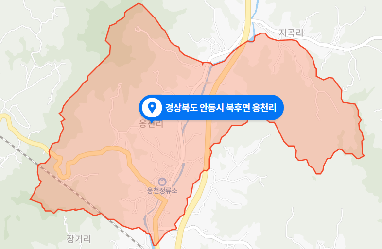  2021년 1월 - 경북 안동시 북후면 옹천리 산불사고
