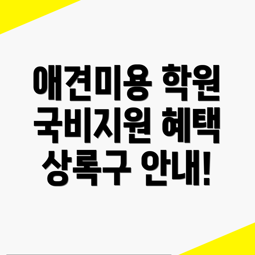 애견미용