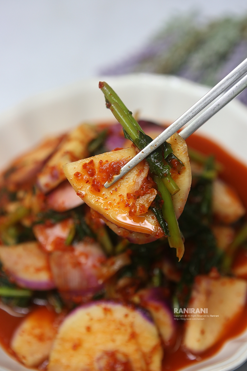 순무김치5kg 주문 택배 13