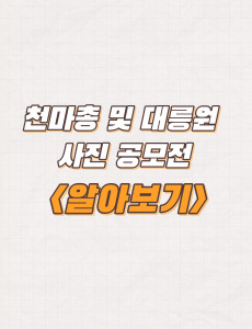  문화재청 천마총 및 대릉원 사진 공모전 주제 및 접수방법