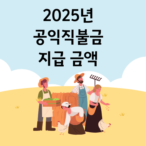 2025년 공익직불금 지급 금액