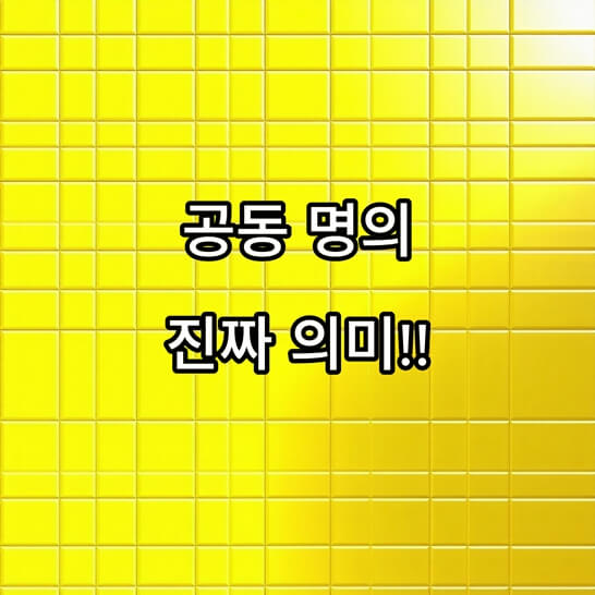 레몬-색상