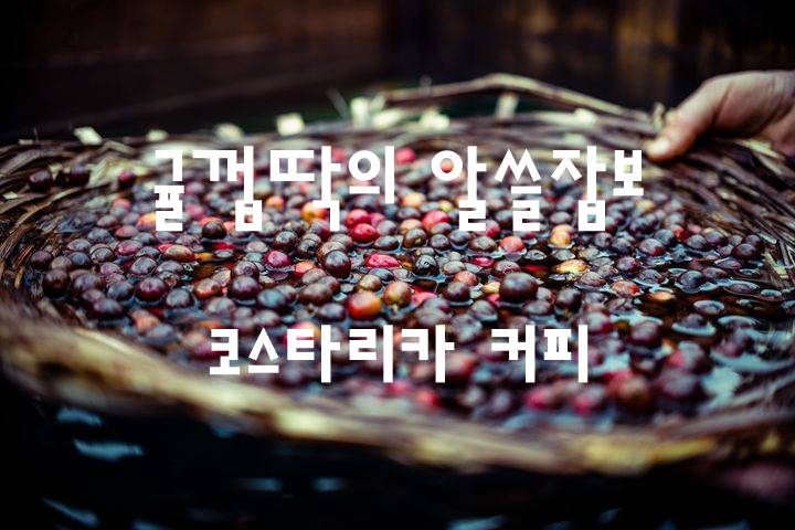  알고마시면 더욱 맛있게 먹는 커피 - 코스타리카 커피