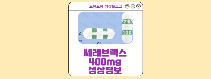 쎄레브렉스캡슐400mg 성상정보