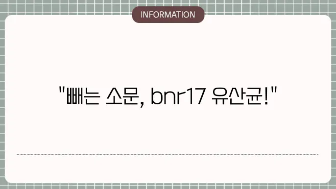 다이어트 유산균 bnr17