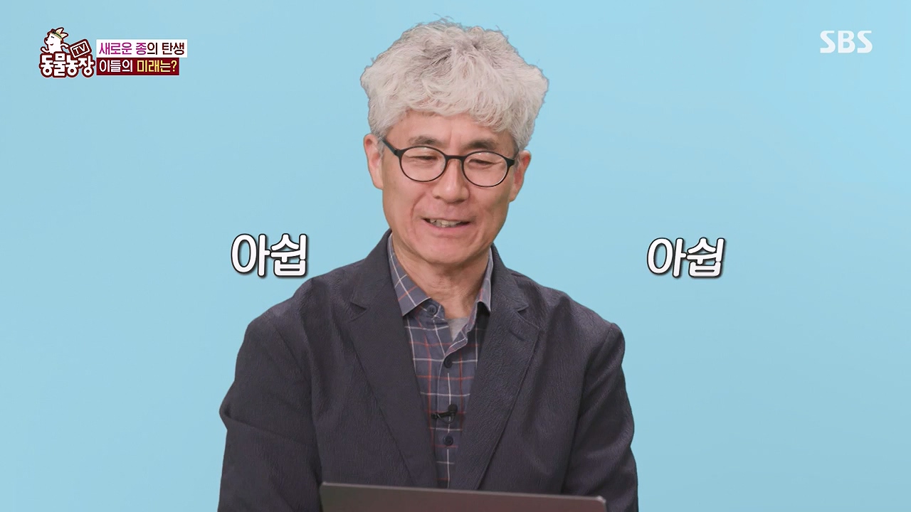 TV 동물농장.E1175.240610p-NEXT.mp4_20240609_160242.375.jpg