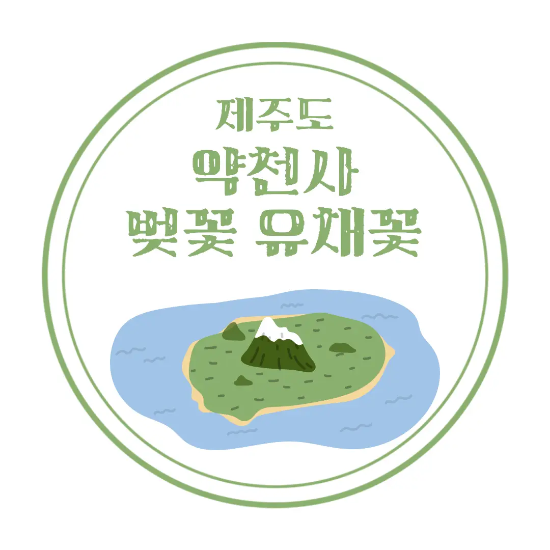  제주도 벚꽃 명소 동양 최대 규모 법당 약천사 : 벚꽃 스팟, 유채꽃 스팟, 올레 8코스