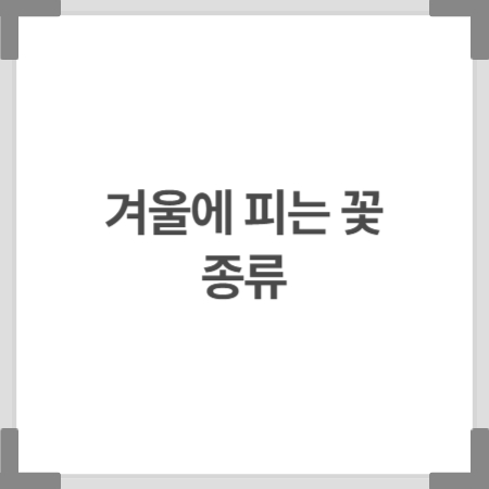겨울에 피는 꽃 종류