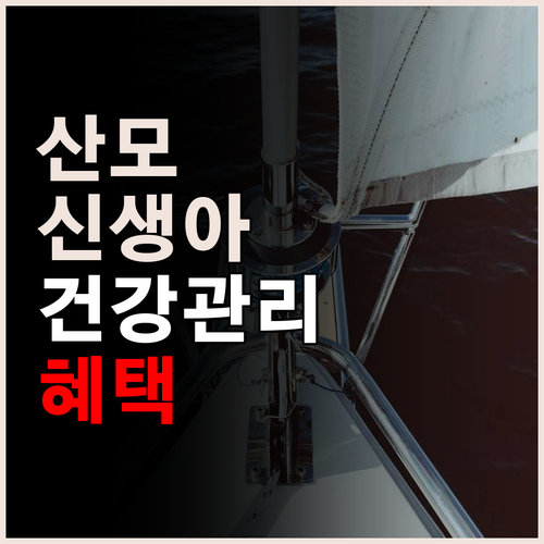 산모와 신생아를 위한 건강관리 지원 