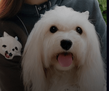 유튜브쇼츠만들기