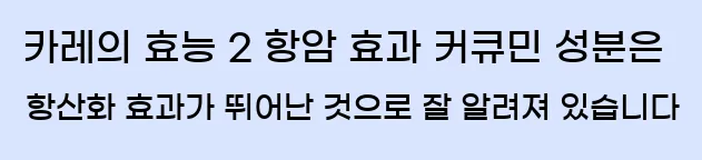  카레의 효능 2. 항암 효과 커큐민 성분은 항산화 효과가 뛰어난 것으로 잘 알려져 있습니다.