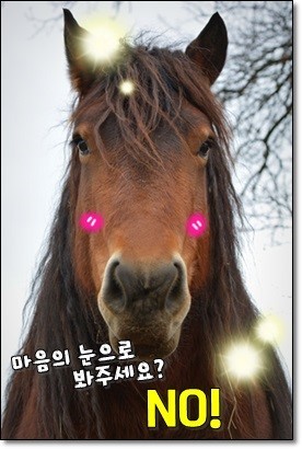  3가지 인간유형 - 시각파,청각파,육감파;언어적표현,언어적특성,심리학.