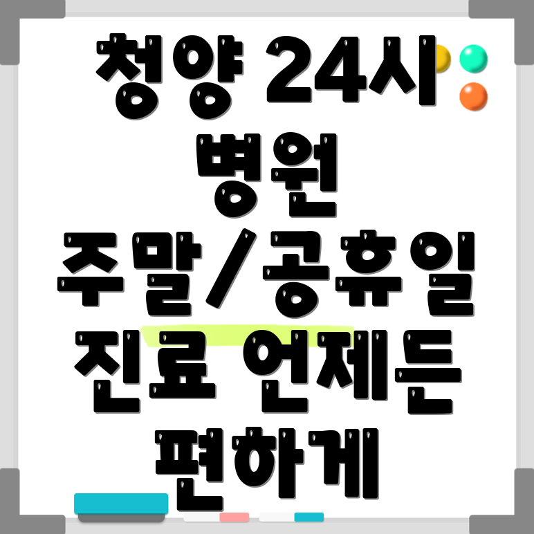 청양군 24시 병원