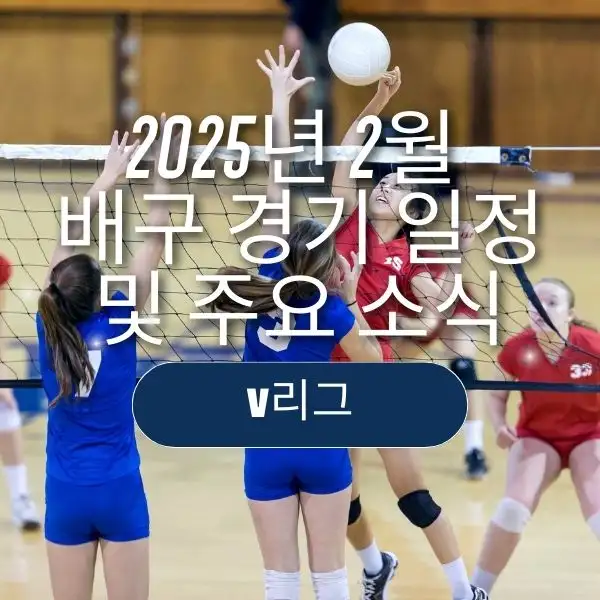 2025년 2월 배구 경기 일정