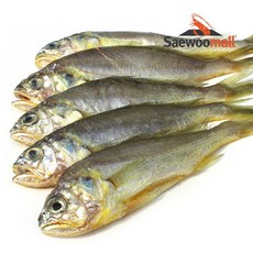  맛남의 광장 참조기, 가격확인 & 후기확인 해보고 구매하세요~