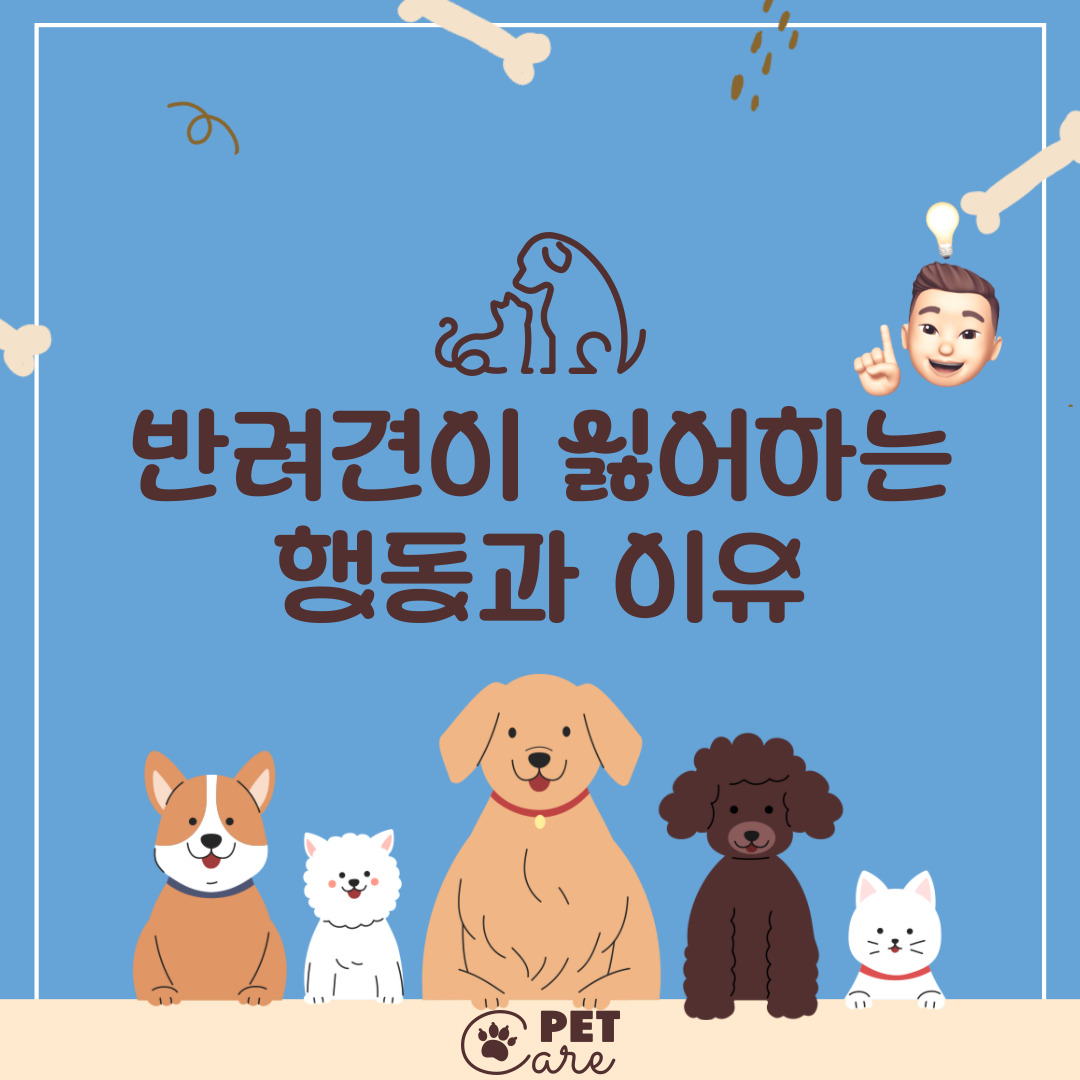  반려견이 싫어하는 행동과 이유 9가지