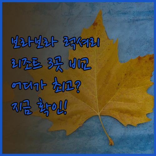 보라보라 럭셔리 리조트 3곳 비교분석