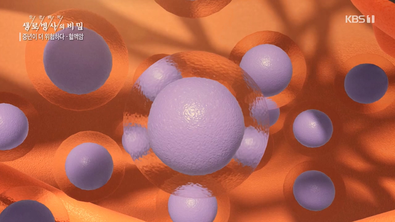 생로병사의 비밀.E868.230511p.H264-F1RST.mp4_20230511_201635.743.jpg