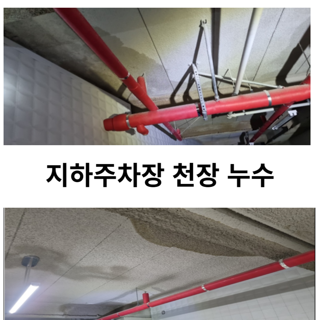  아파트 천장 누수에 대한 하자심사 사례 지하주차장 천장 누수