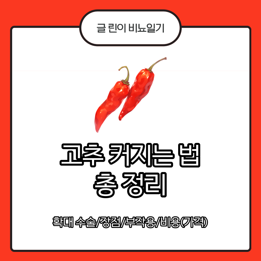  고추 커지는 법 총 정리 : 확대 수술/장점/부작용/비용(가격)
