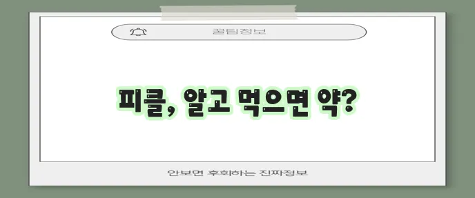피클 효능 10가지와 부작용 꼭 알아야겠죠?
