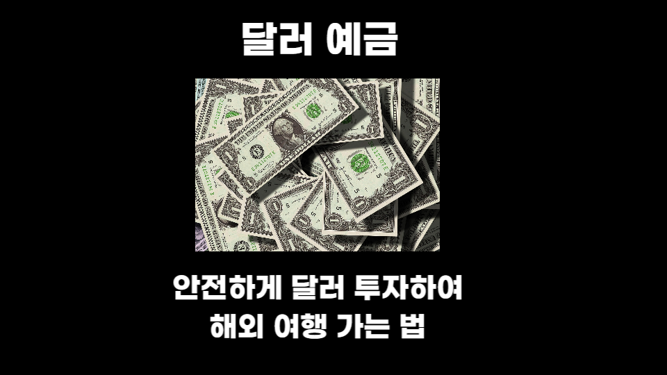  달러 예금으로 해외여행 준비하는 중입니다.