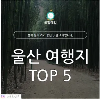 울산 가볼만한곳 베스트10 현지인 추천 필수코스_6