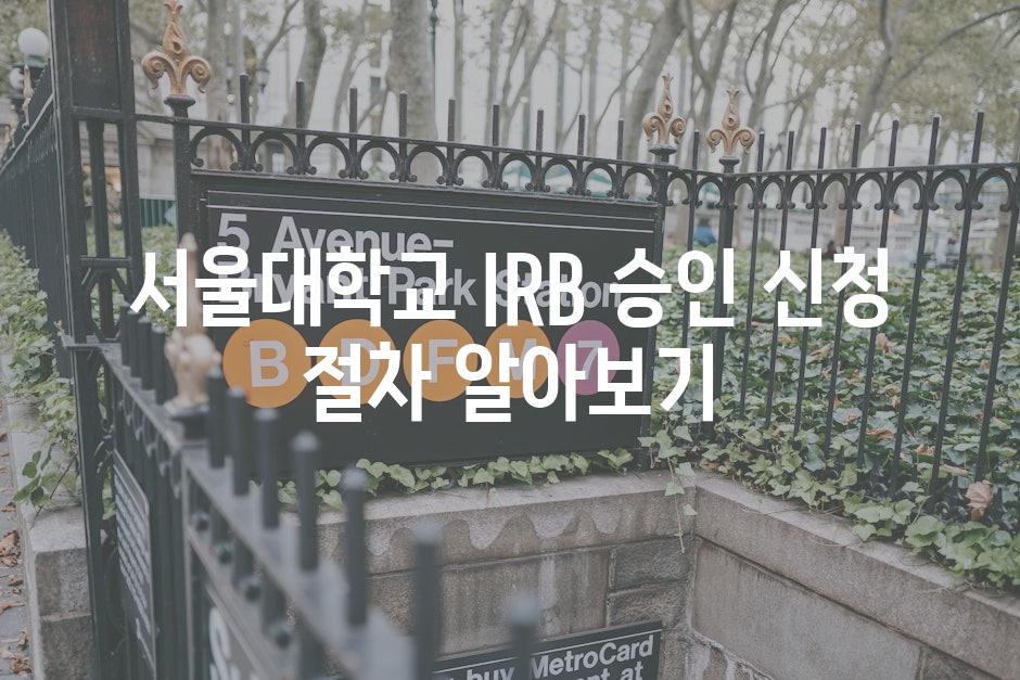 서울대학교 IRB 승인 신청 절차 알아보기