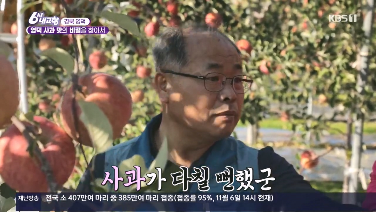 6시 내고향.E7907.231108p.H264-F1RST.mp4_20231108_203021.880.jpg