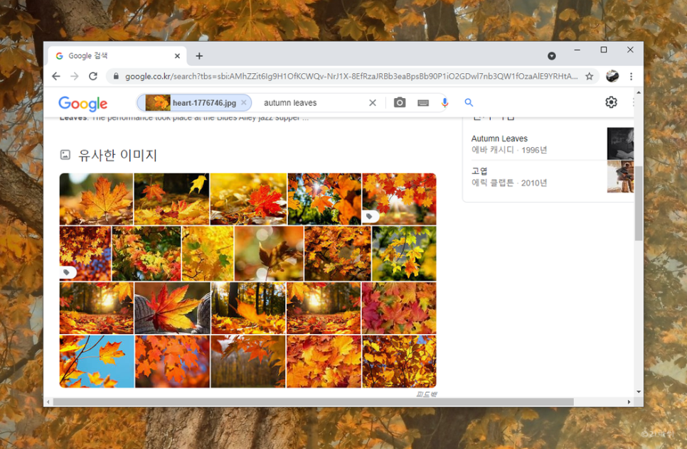 이미지로 검색사진 구글링 PC와 3