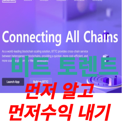  비트 토렌트와 토렌터 코인, 호재 및 전망과 가격 상승세 파악하기