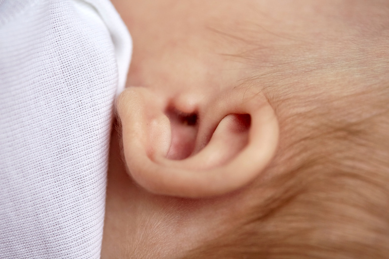 아기 귀 baby ear