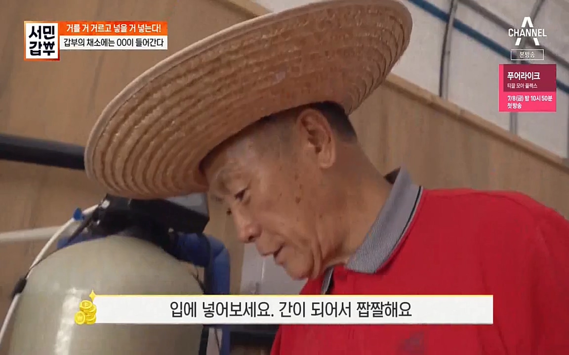 서민 갑부.E389.220626p-NEXT.mp4_20220626_182537.214.jpg