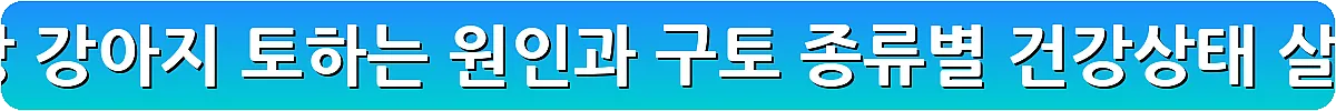 강아지 토 색깔 증상 강아지 토하는 원인과 구토 종류별 건강상태 살펴보기_7