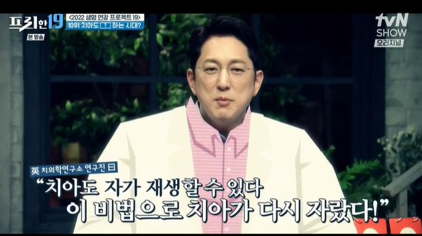 [티데글루십] 치매치료제 개발중