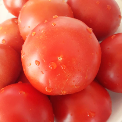 토마토 마리네이드 만들기 토마토