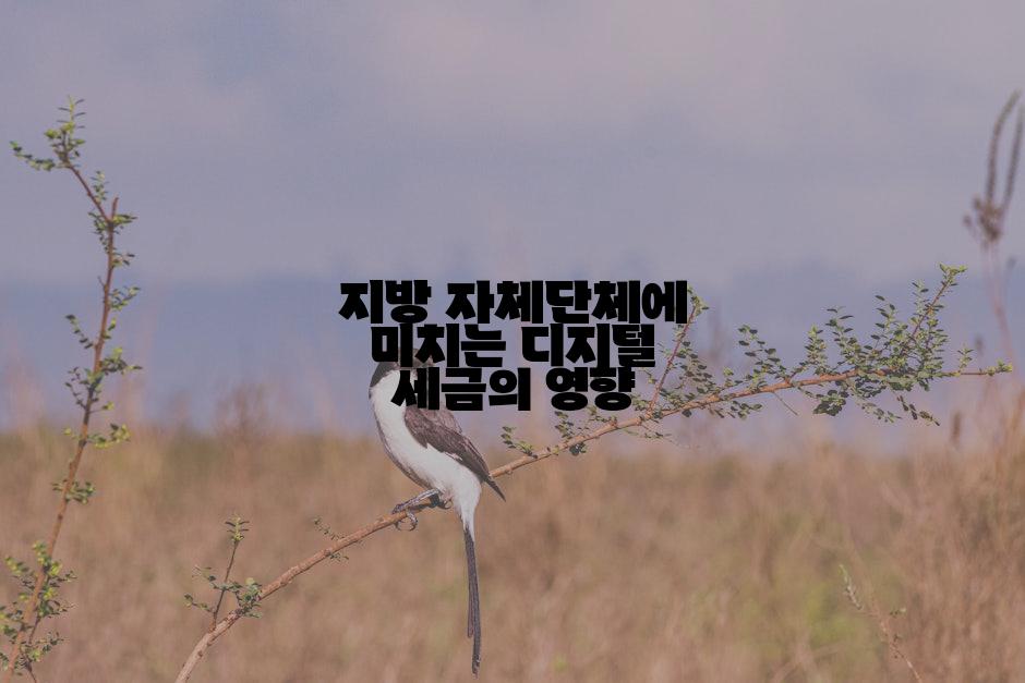 지방 자체단체에 미치는 디지털 세금의 영향
