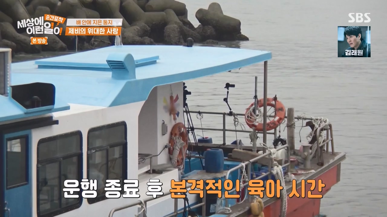 순간포착 세상에 이런일이.E1238.230723p-NEXT.mp4_20230724_205448.927.jpg